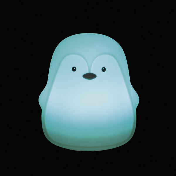 LUZ PRESENÇA RECARREGÁVEL