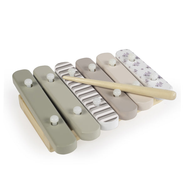 CONJUNTO DE INSTRUMENTOS MUSICAIS