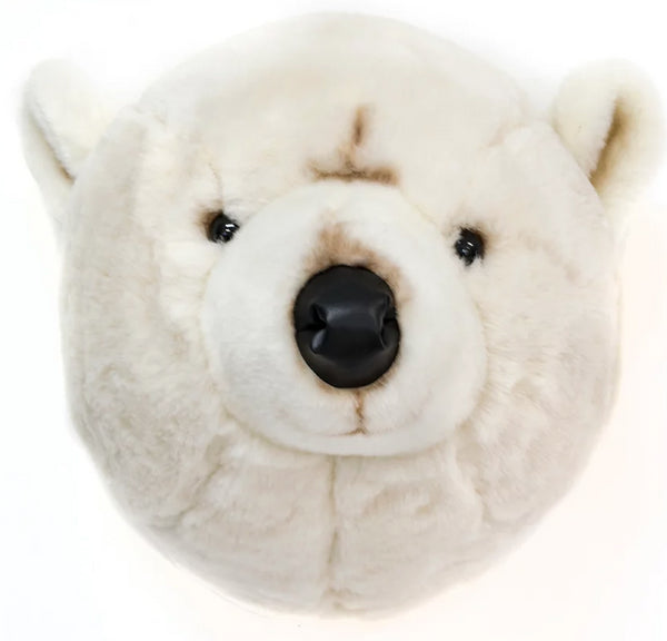 URSO POLAR