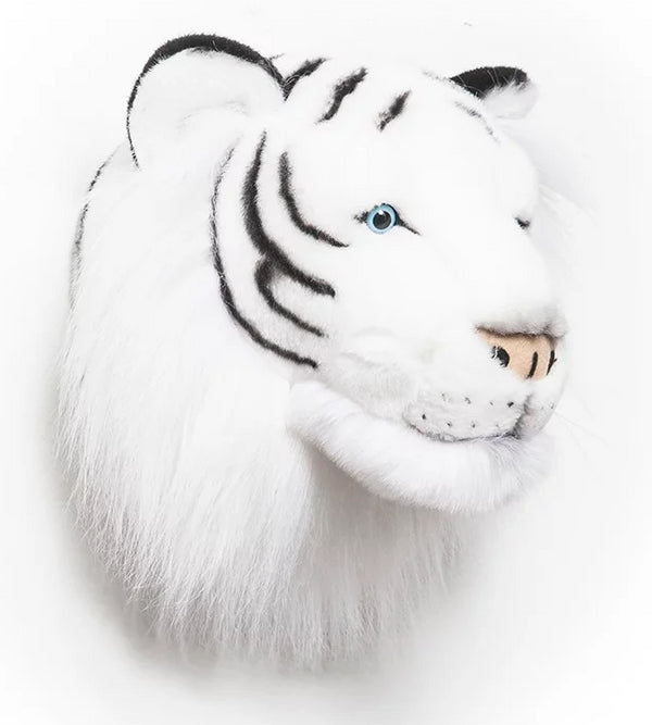 TIGRE BRANCO