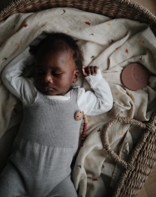 SWADDLE MUSHIE - DINOSAURS