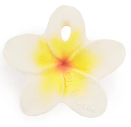 MORDEDOR CHEWY TO GO