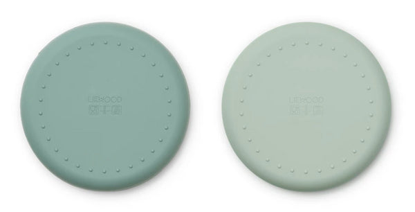 2 PRATOS DE SILICONE