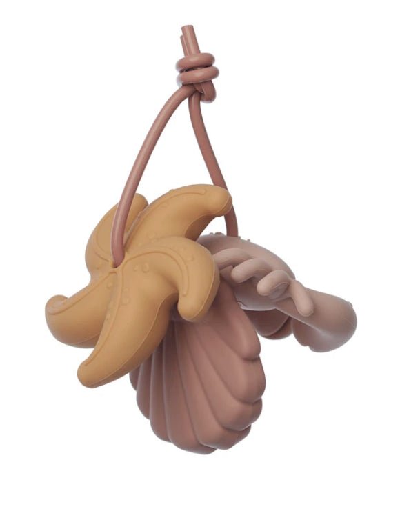 3 MORDEDORES - ROSE MULTI MIX