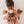DOLLIE SUGAR BEE