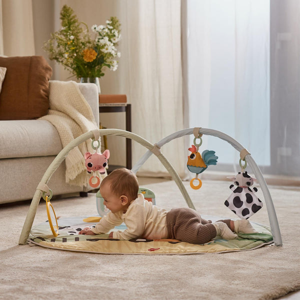 Ginásio Dinâmico tiny love farmers em utilização