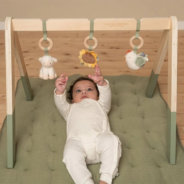Ginásio de atividades em maderia da little dutch na cor little farm verde
