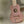 Guitarra infantil em madeira Safari Friends com seis cordas ajustáveis, ideal para estimular a criatividade, coordenação motora e iniciação musical das crianças.