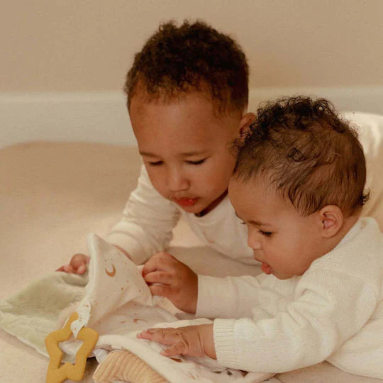 LIVRO DE TECIDO - NEWBORN NATURALS