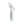 Aspirador Nasal 2 em 1 Momcozy com spray de névoa ultrafina e sucção até 65 kPa, ideal para aliviar a congestão nasal de bebés e crianças com conforto e segurança. Verde