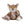 Peluche de Atividades para bebé em materiais suaves e macios, com diferentes elementos para explorar durante os momentos de brincadeira e descoberta. Fairy Garden