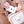 Máquina fotográfica infantil Zoofamily Friends com ecrã de 2 polegadas, capa protetora em silicone e cartão de memória de 32 GB para fotografias e vídeos koala